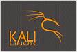 ﻿Forma correta de aprender a usar o Kali Linux